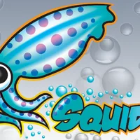 Squid Proxy