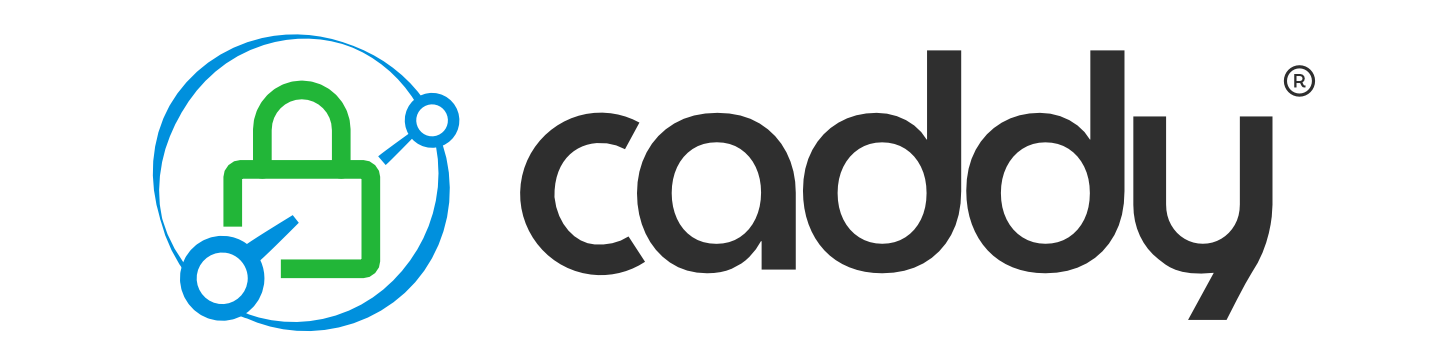 Caddy and GoAccess